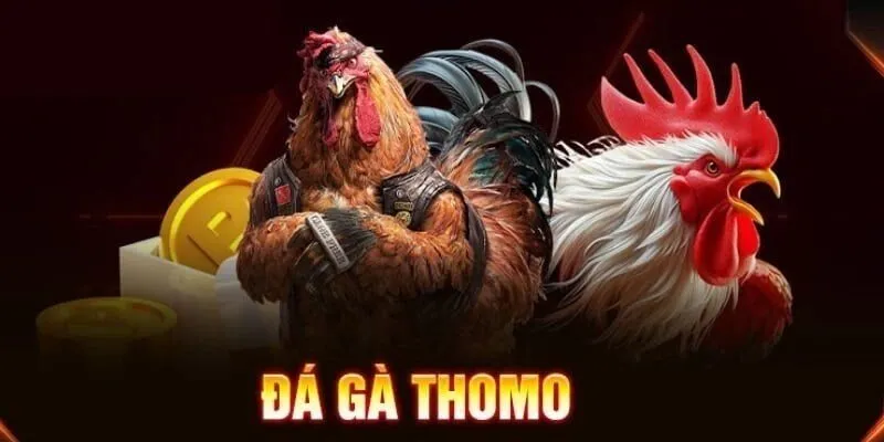 Đá gà trực tuyến - Đấu trường hấp dẫn đỉnh cao Đá gà trực tuyến - Đấu trường hấp dẫn đỉnh cao