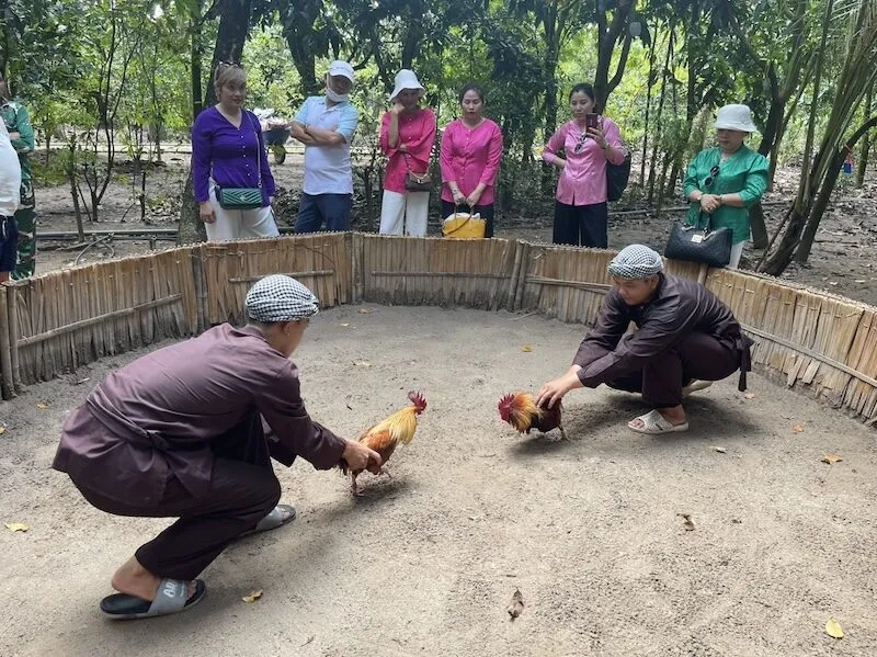 Đá gà truyền thống: Các hình thức phổ biến và trải nghiệm giải trí trực tuyến Đá gà truyền thống: Các hình thức phổ biến và trải nghiệm giải trí trực tuyến